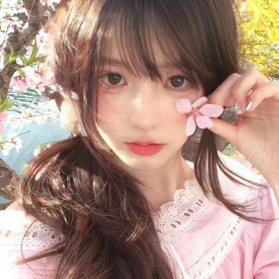动画冒险